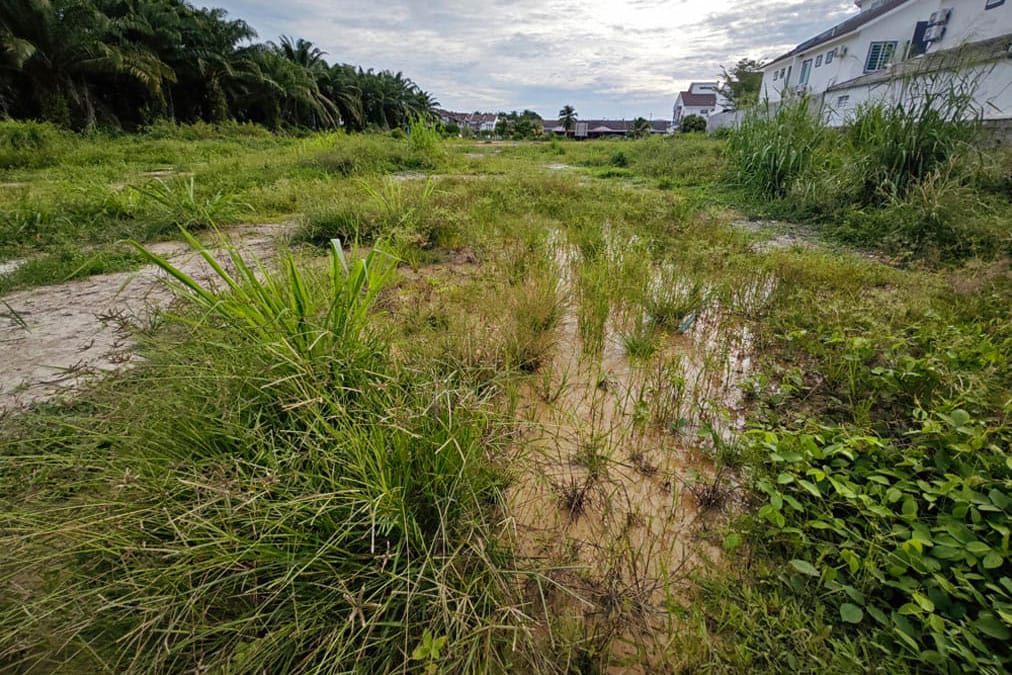 an empty lot covered with weeds and a nearby building